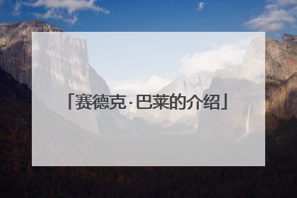 赛德克·巴莱的介绍