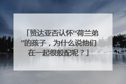 赞达亚否认怀“荷兰弟”的孩子，为什么说他们在一起很般配呢？