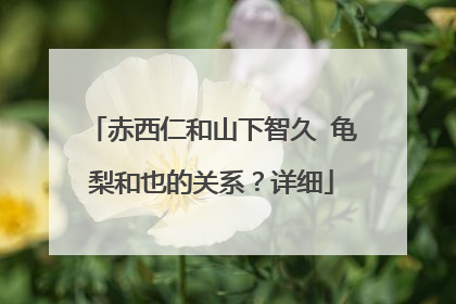 赤西仁和山下智久 龟梨和也的关系？详细