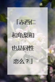赤西仁和龟梨和也是同性恋么？