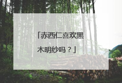 赤西仁喜欢黑木明纱吗？