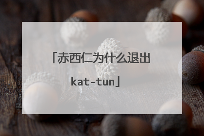 赤西仁为什么退出kat-tun