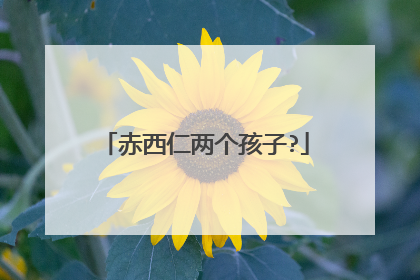 赤西仁两个孩子?