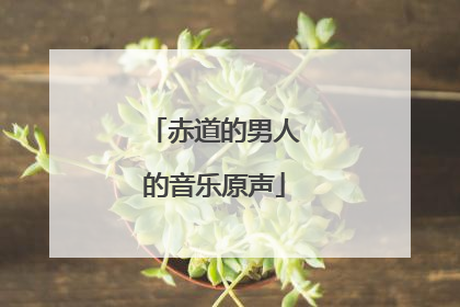 赤道的男人的音乐原声