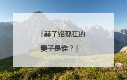 赫子铭现在的妻子是谁?