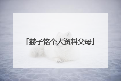 赫子铭个人资料父母