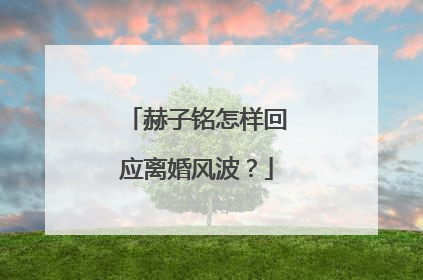 赫子铭怎样回应离婚风波?
