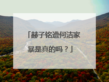 赫子铭遭何洁家暴是真的吗?