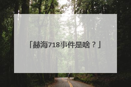 赫海718事件是啥?