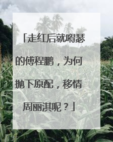 走红后就嘚瑟的傅程鹏，为何抛下原配，移情周丽淇呢？