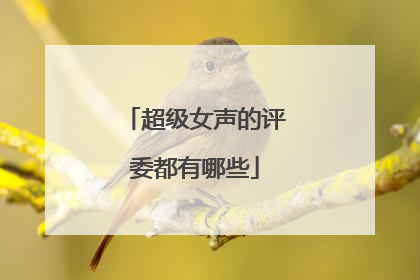 超级女声的评委都有哪些