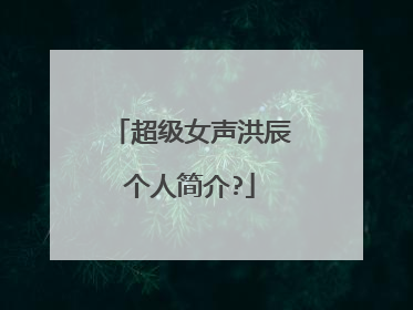 超级女声洪辰个人简介?
