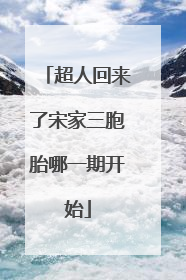超人回来了宋家三胞胎哪一期开始
