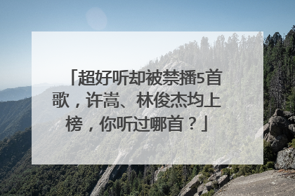 超好听却被禁播5首歌,许嵩、林俊杰均上榜,你听过哪首?