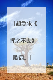 超急求《挥之不去》歌词。