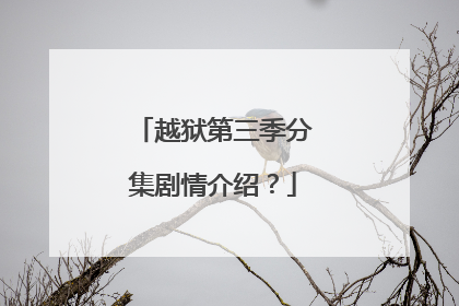 越狱第三季分集剧情介绍？