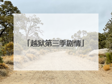 越狱第三季剧情