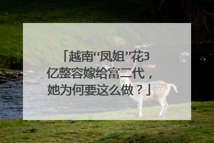 越南“凤姐”花3亿整容嫁给富二代,她为何要这么做?