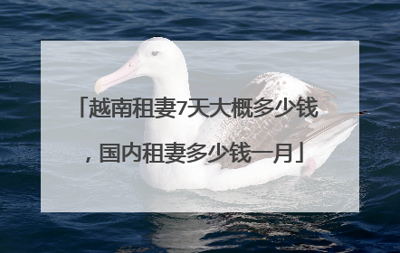 越南租妻7天大概多少钱，国内租妻多少钱一月