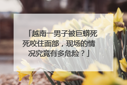 越南一男子被巨蟒死死咬住面部，现场的情况究竟有多危险？