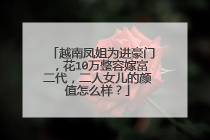 越南凤姐为进豪门,花10万整容嫁富二代,二人女儿的颜值怎么样?