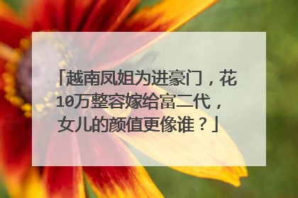 越南凤姐为进豪门，花10万整容嫁给富二代，女儿的颜值更像谁？