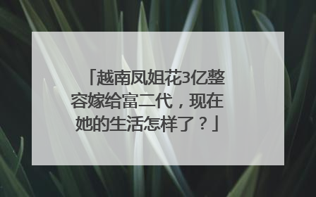 越南凤姐花3亿整容嫁给富二代，现在她的生活怎样了？