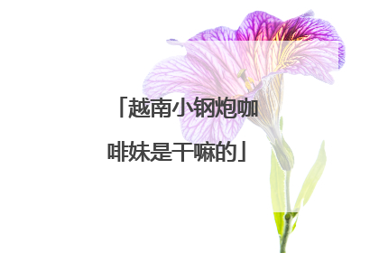 越南小钢炮咖啡妹是干嘛的