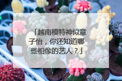 越南模特神似章子怡,你还知道哪些相像的艺人?