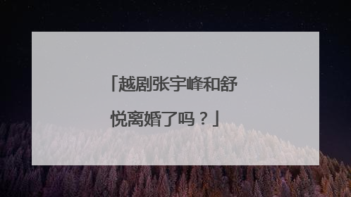 越剧张宇峰和舒悦离婚了吗?