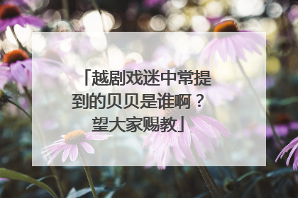 越剧戏迷中常提到的贝贝是谁啊?望大家赐教