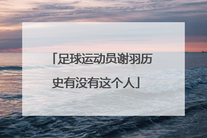 足球运动员谢羽历史有没有这个人