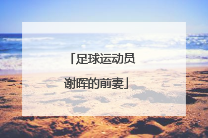 足球运动员谢晖的前妻