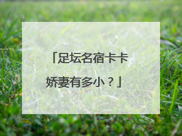 足坛名宿卡卡娇妻有多小？