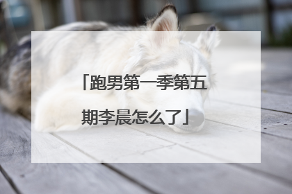 跑男第一季第五期李晨怎么了