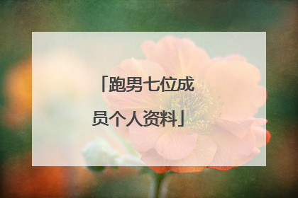 跑男七位成员个人资料