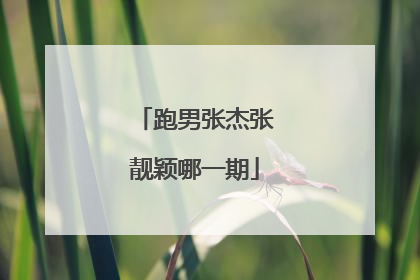 跑男张杰张靓颖哪一期