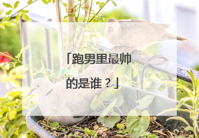 跑男里最帅的是谁?