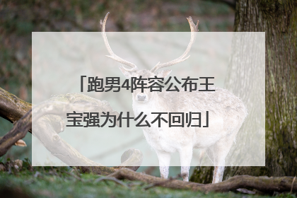 跑男4阵容公布王宝强为什么不回归