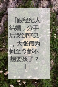 跟经纪人结婚,分手后哭到窒息,大张伟为何至今都不想要孩子?