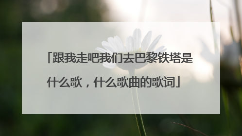 跟我走吧我们去巴黎铁塔是什么歌，什么歌曲的歌词
