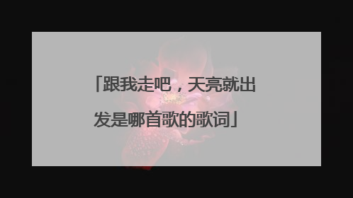 跟我走吧，天亮就出发是哪首歌的歌词