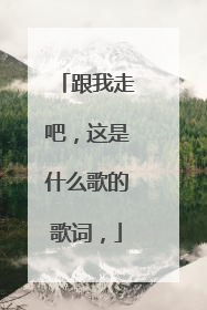 跟我走吧，这是什么歌的歌词，