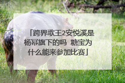跨界歌王2安悦溪是杨幂旗下的吗 糖宝为什么能来参加比赛