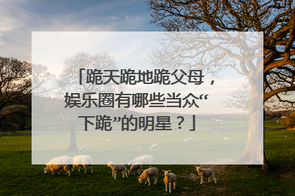 跪天跪地跪父母,娱乐圈有哪些当众“下跪”的明星?