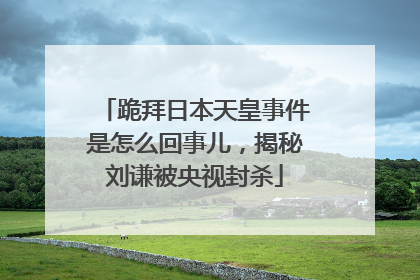跪拜日本天皇事件是怎么回事儿，揭秘刘谦被央视封杀