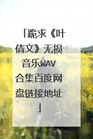 跪求《叶倩文》无损音乐WAV合集百度网盘链接地址