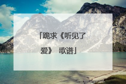 跪求《听见了爱》 歌谱