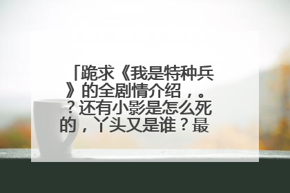 跪求《我是特种兵》的全剧情介绍,。?还有小影是怎么死的,丫头又是谁?最后小庄怎样了?