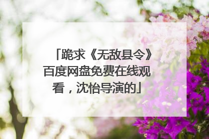 跪求《无敌县令》百度网盘免费在线观看,沈怡导演的